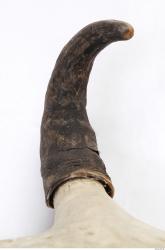 Photo Textures of Skull Antler